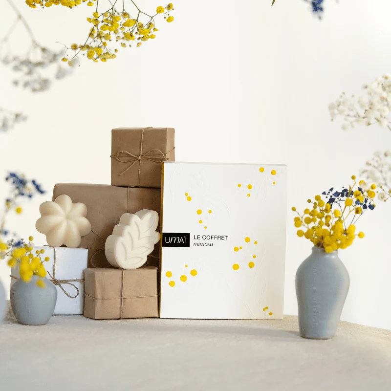 Le Coffret Mimosa