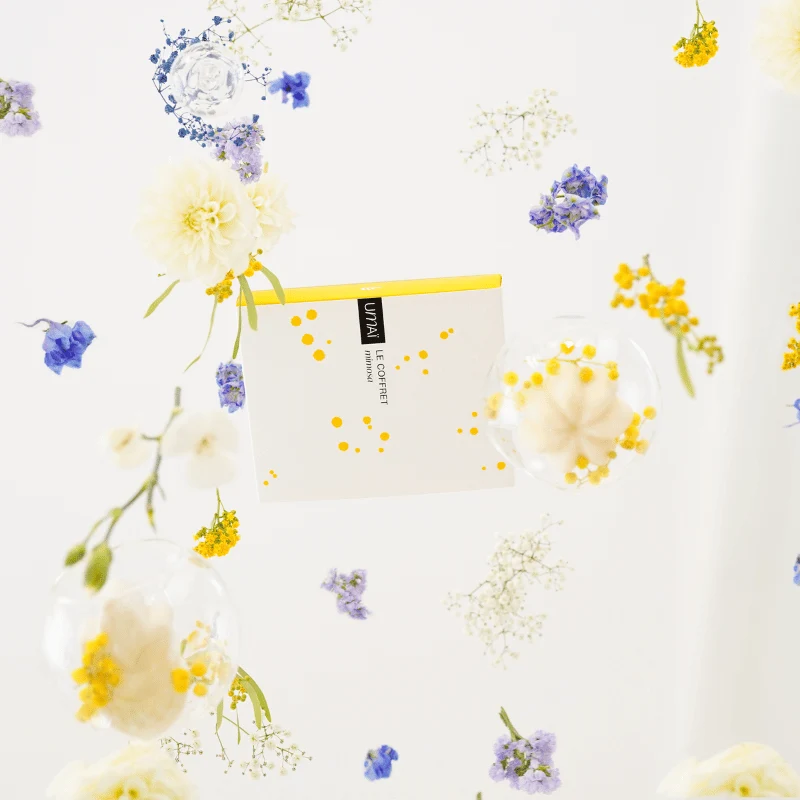 Le Coffret Mimosa
