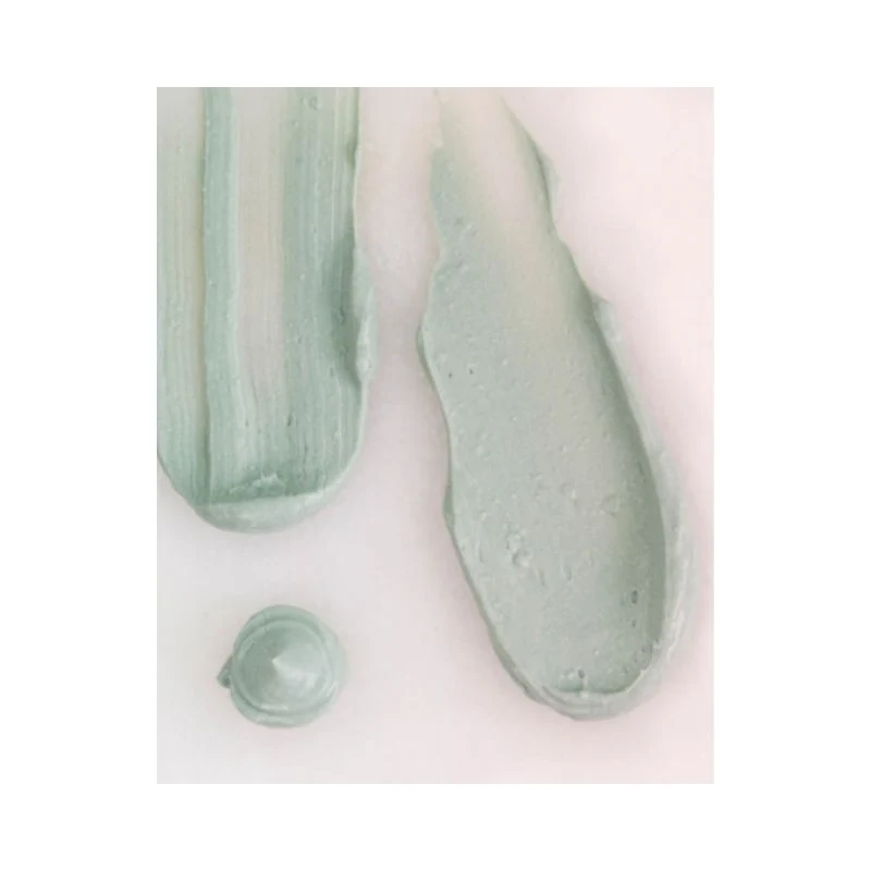 Masque Vert Cataplasme - Anti-imperfections