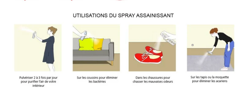 Puryfitout Spray Assainissant d'Atmosphère Fleurance Nature