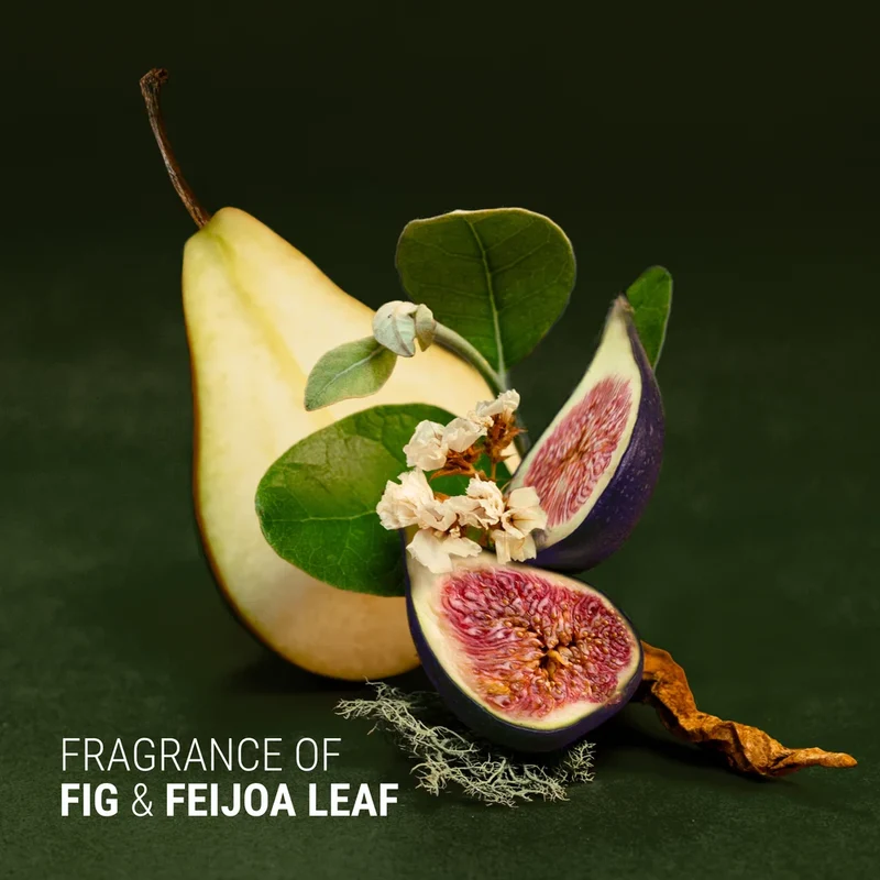 Fig + Feijoa - Repair & Nourish Conditioner 340 ml