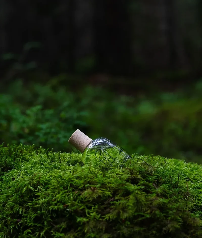 EN Eau de Parfum