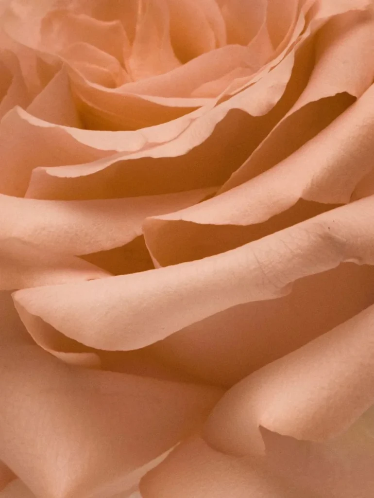 Nurture Eau de Parfum