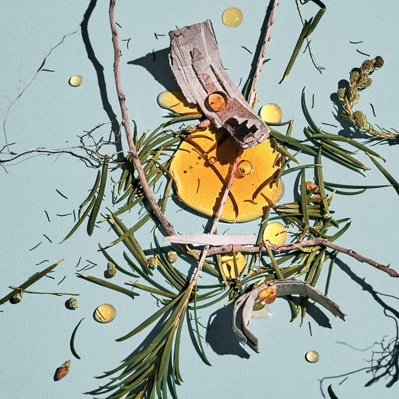 Dirty Hinoki Eau de Parfum
