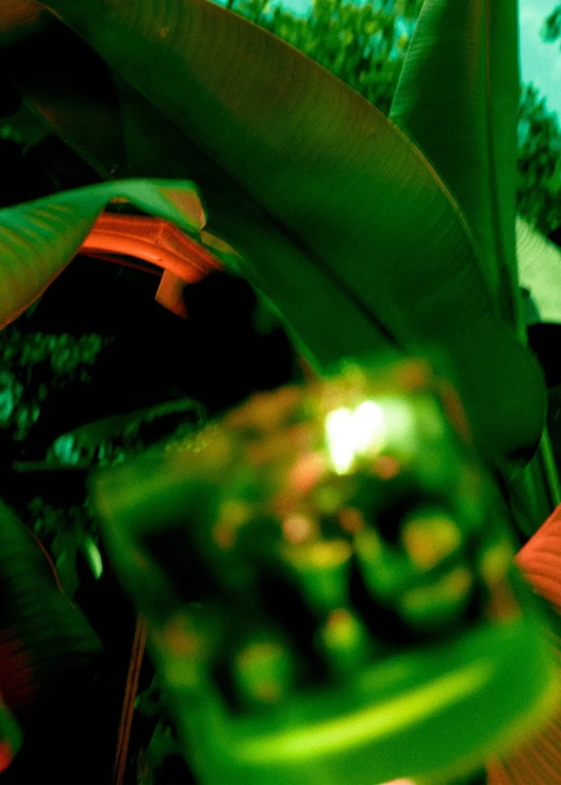 I am Verdant Eau de Parfum