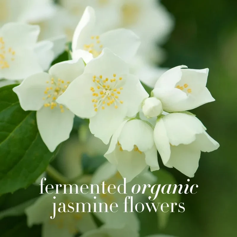 Jasmine Flower Menopause Facial Cream