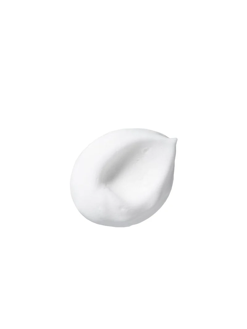 SCHUM Reinigungsschaum 100 ml