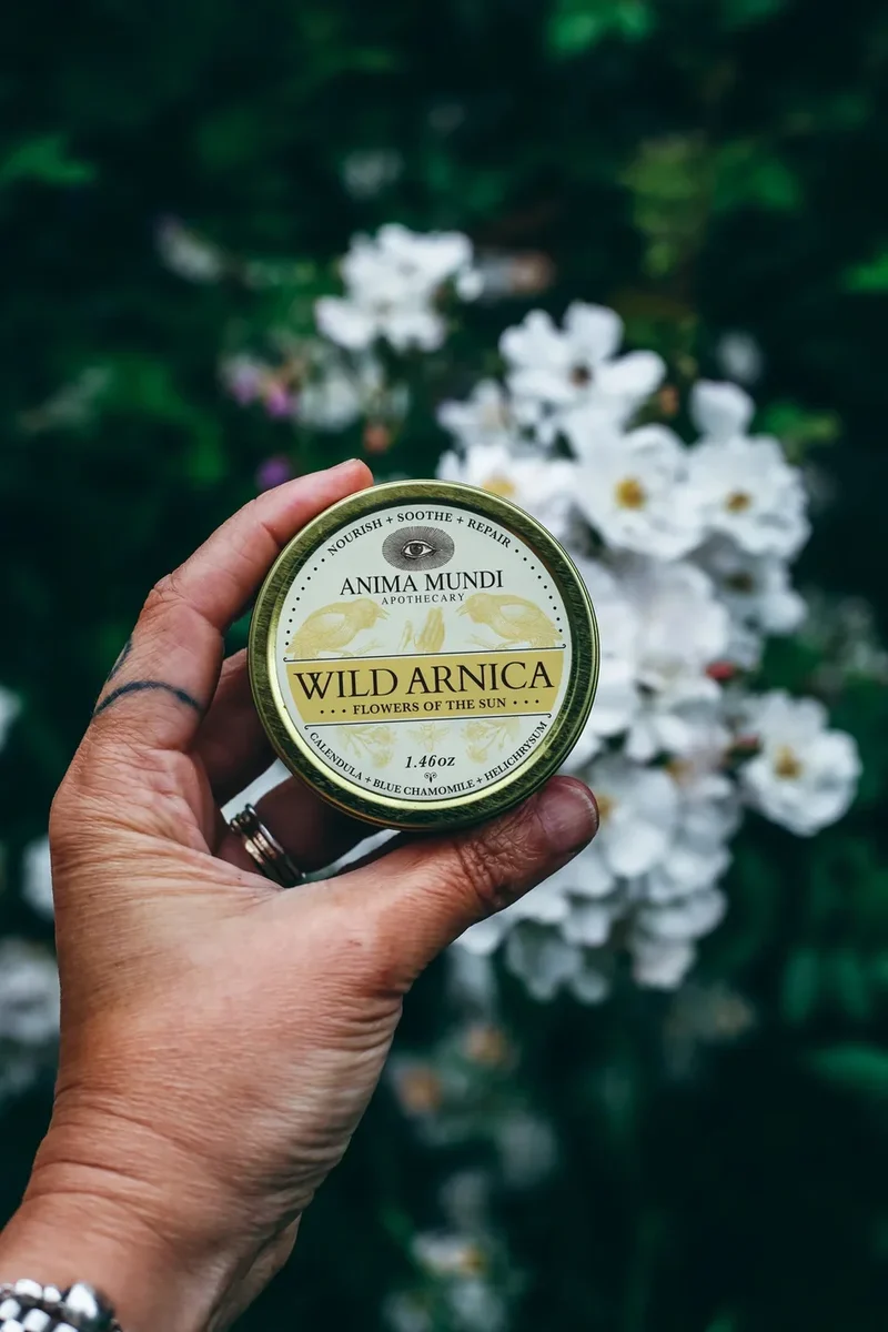 Wild Arnica Balm: Flowers of the Sun 41,3 g