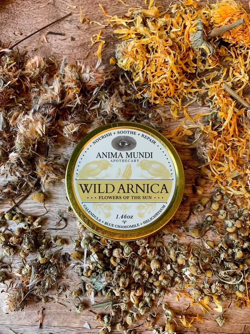 Wild Arnica Balm: Flowers of the Sun 41,3 g