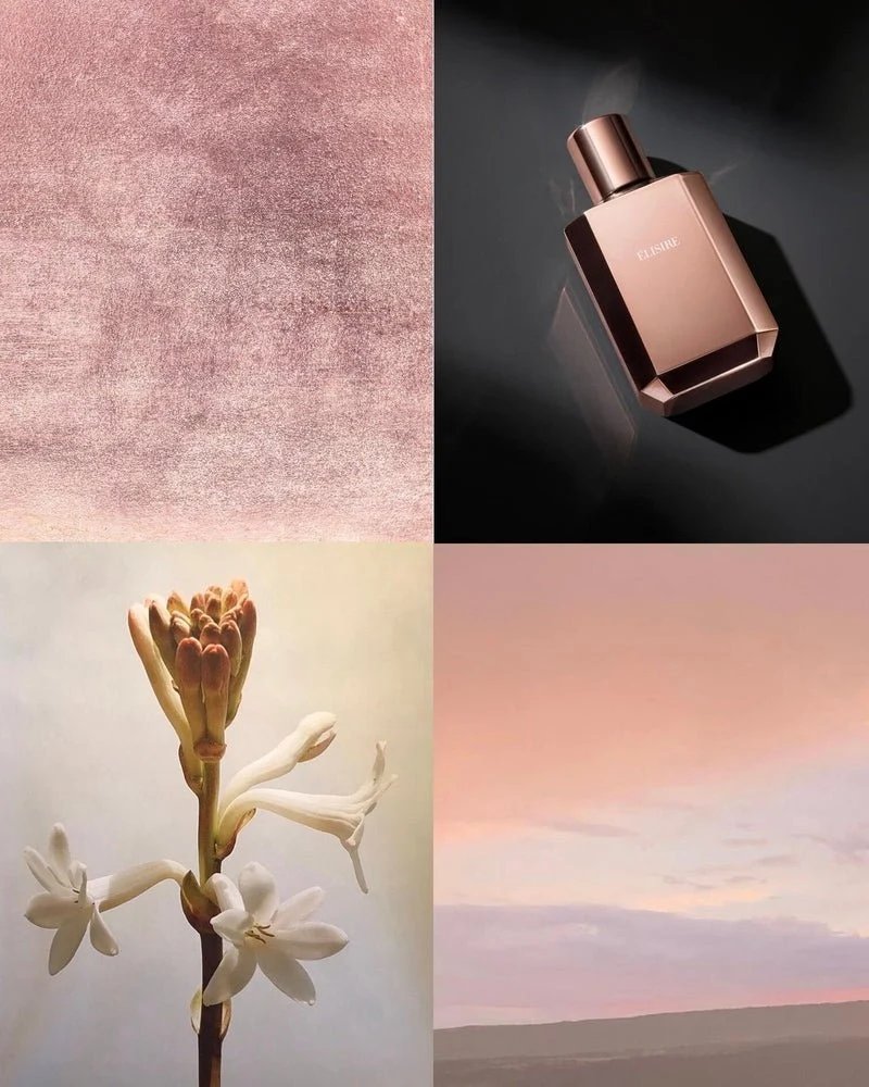 Érose
