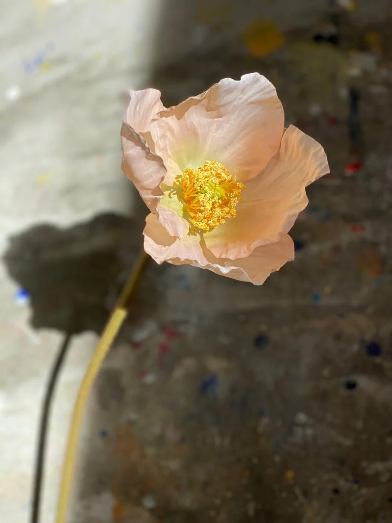 Érose