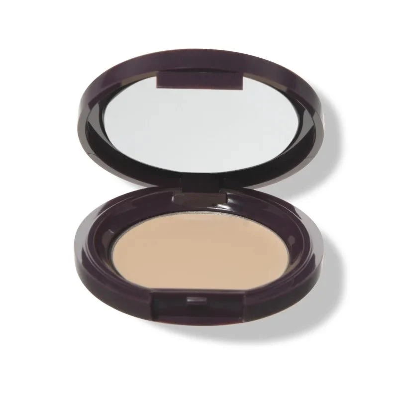 Fruit Pigmented Long Last Concealer with Super Fruits 3 g