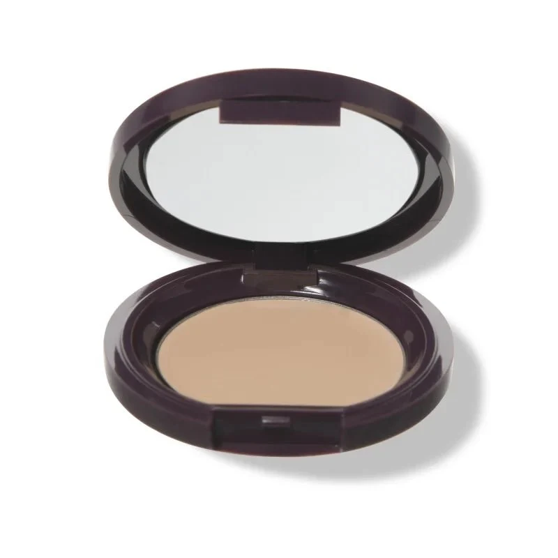 Fruit Pigmented Long Last Concealer with Super Fruits 3 g