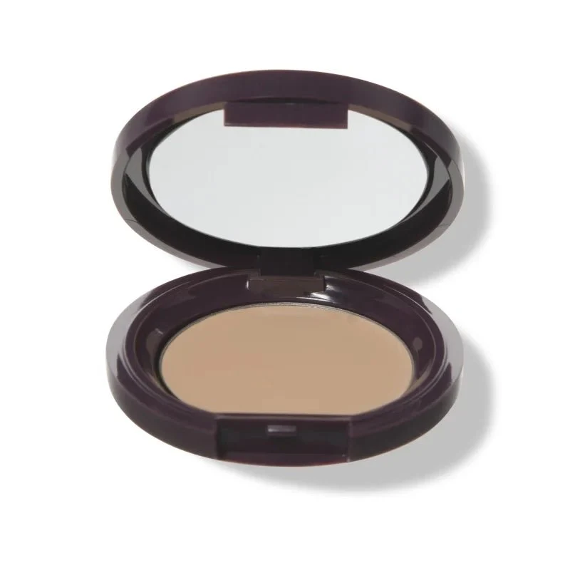 Fruit Pigmented Long Last Concealer with Super Fruits 3 g