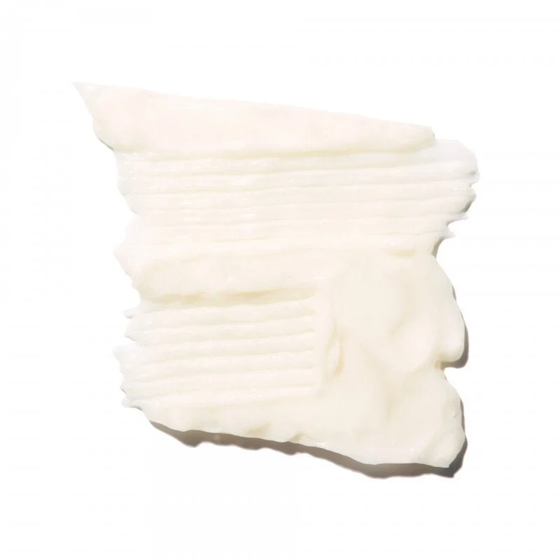 Burdock & Neem Healthy Scalp Conditioner