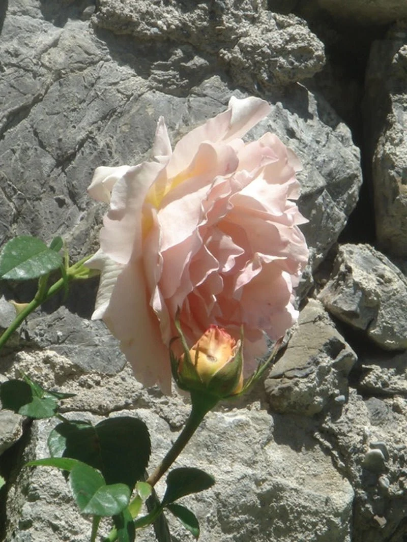 Poudre Désir Extrait de Parfum