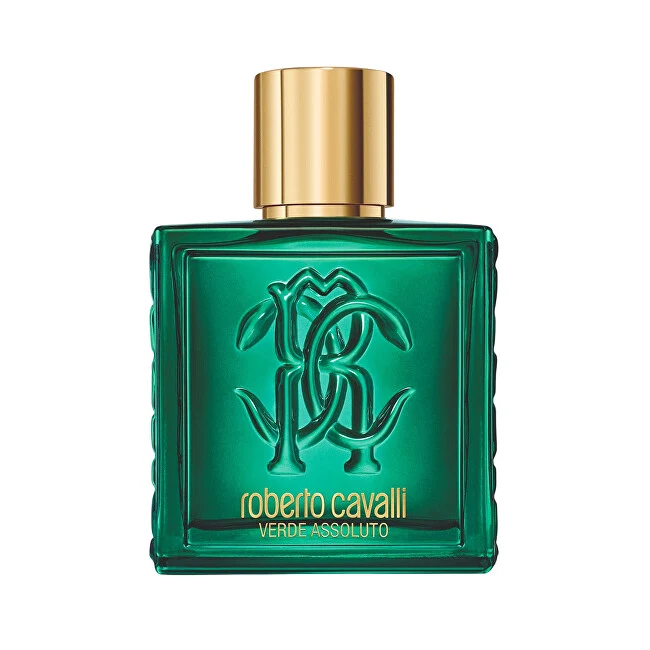 Roberto Cavalli Verde Assoluto Pour Homme 100 ml — Eau de Parfum