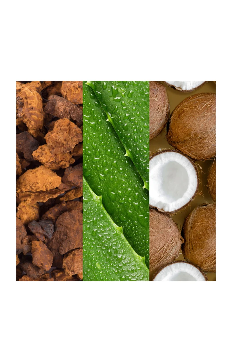Brume rafraîchissante - Aloe vera & eau de coco - 236 ml